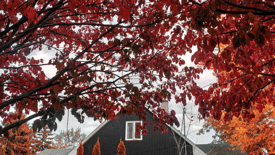 Préparer sa maison pour l’automne ! Les conseils de Geneviève Langevin