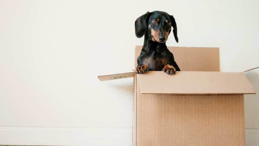 How can I save money when moving home?