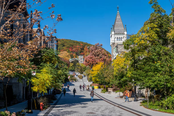 Meilleurs quartiers familiaux à Montréal : comparatif 2025