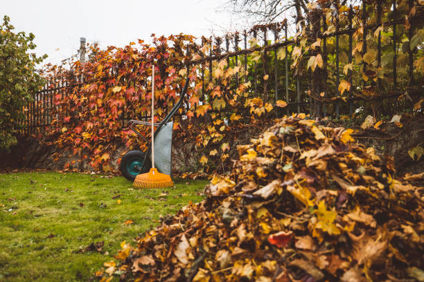 10 astuces essentielles pour entretenir votre maison cet automne