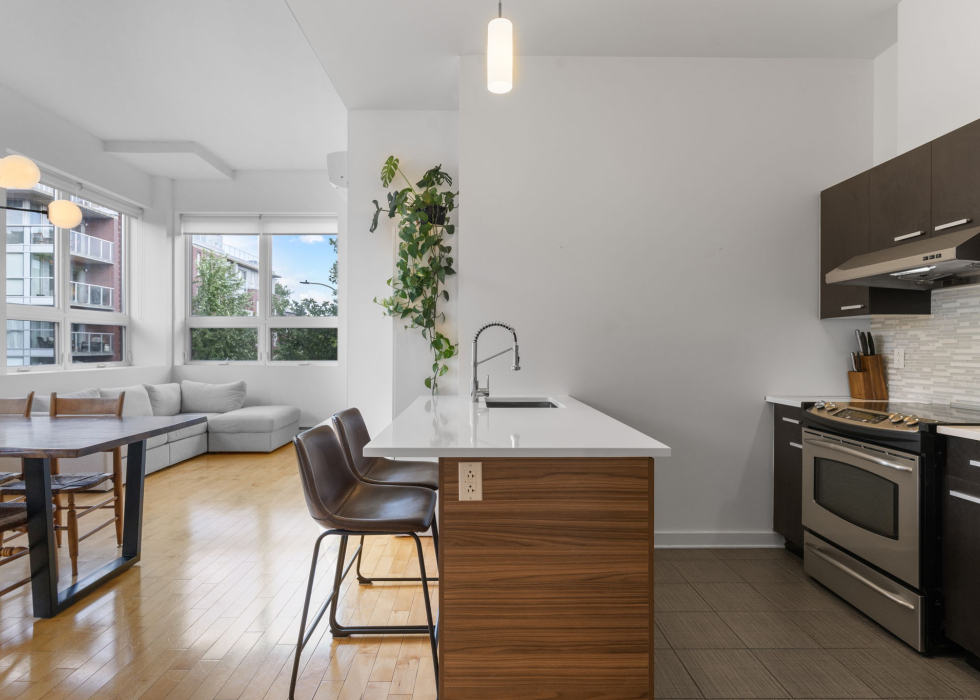 Condo – 4211 Rue de Rouen, app. 215, Montréal