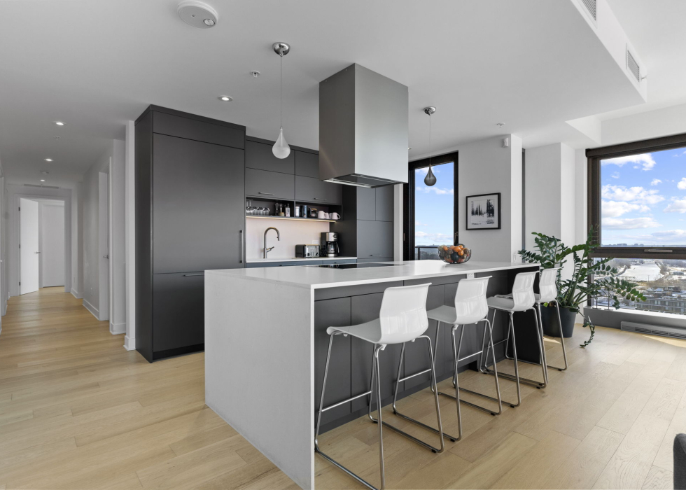 Condo – 1458 Rue des Bassins, apt. 2102, Montréal