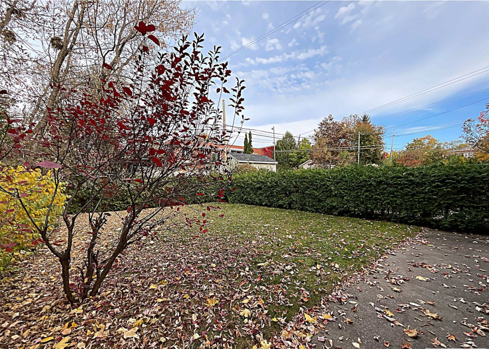 Triplex - 10375 Rue André-Jobin, Montréal