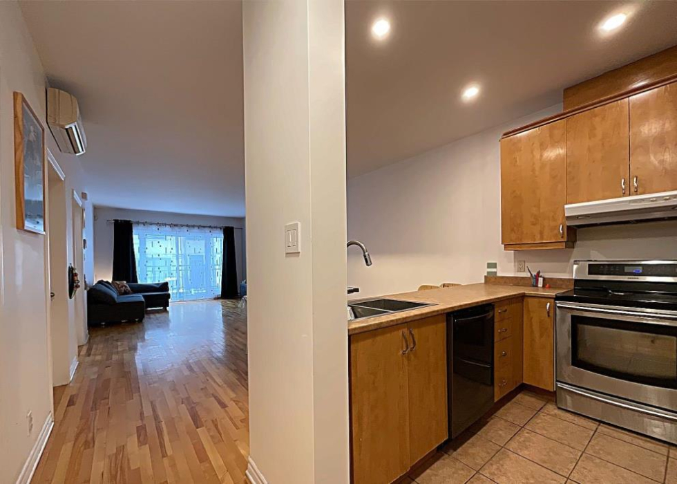 Condo - 3484 Rue St-Dominique, Montréal