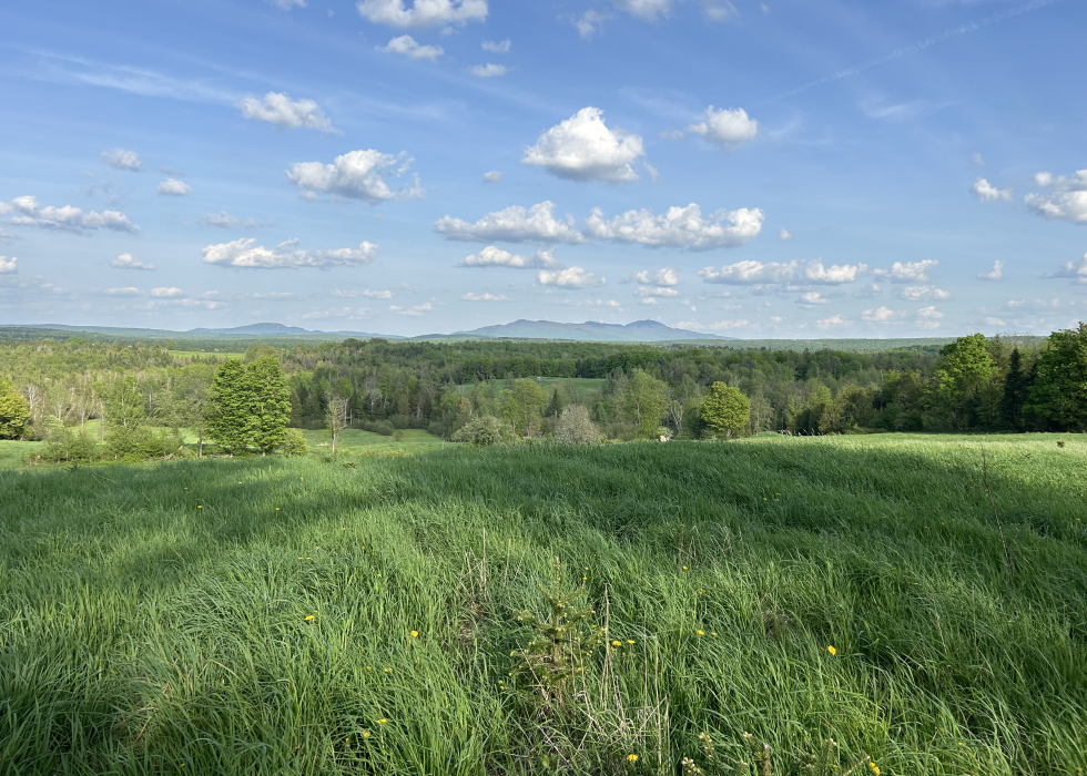 Terre - 375, Chemin de Sainte-Anne Sud, Sainte-Anne-de-la-Rochelle