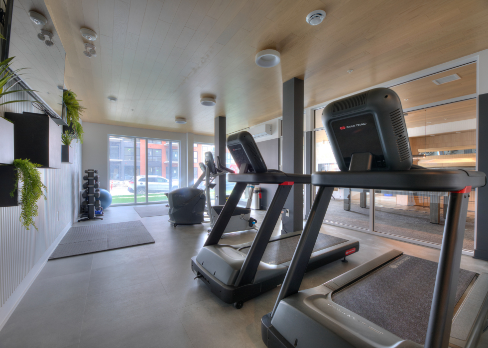 Condo - 4220 Rue Olivier-Fournier, app. 605, Longueuil