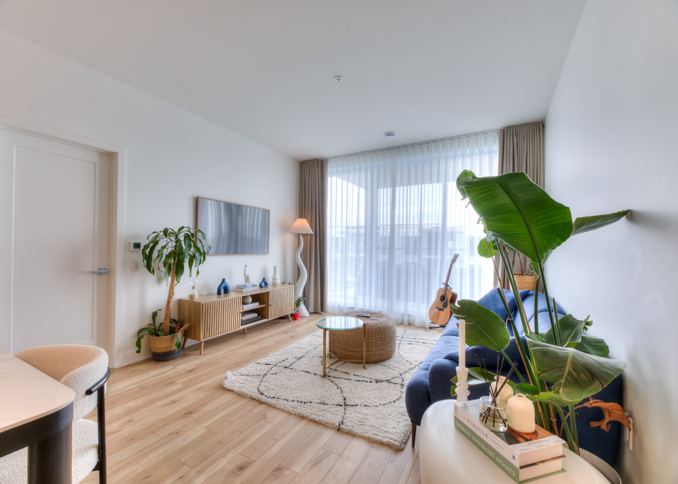 Condo - 4220 Rue Olivier-Fournier, app. 605, Longueuil