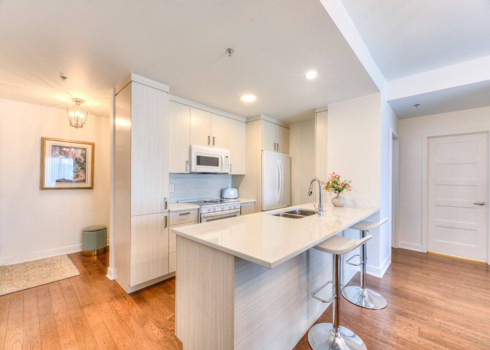 Condo - 4700 2e Avenue, app. 301, Montréal