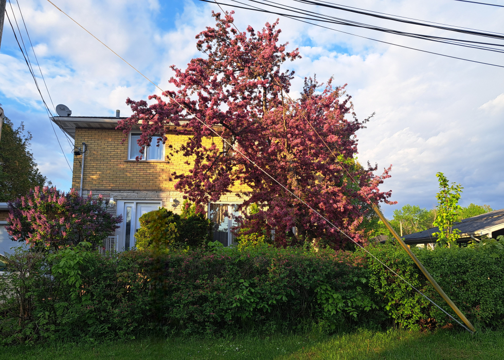 Maison - 7701 5e Avenue, Laval