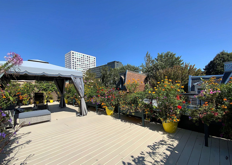 Condo – 455 Rue St-Louis, app. 504, Montréal