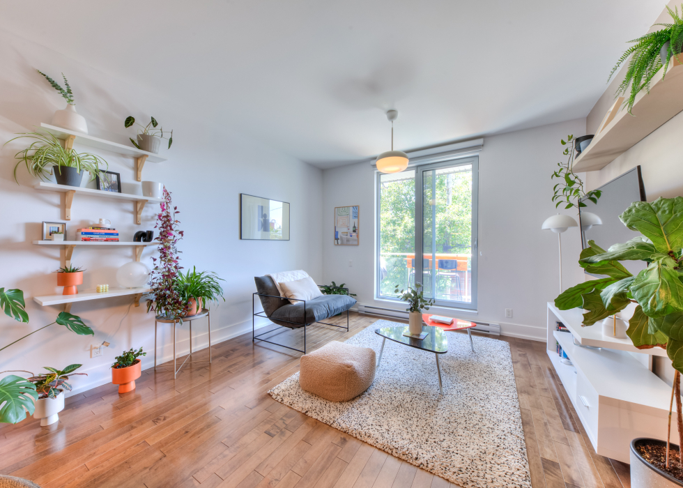 8042, Rue Saint-Denis, app. 205, Montréal