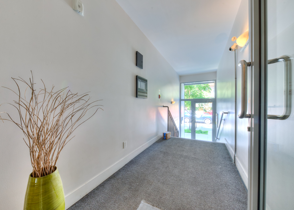 8042, Rue Saint-Denis, app. 205, Montréal