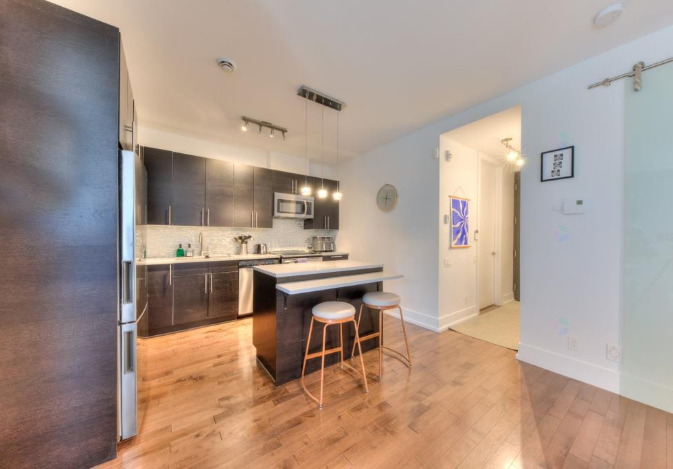8042, Rue Saint-Denis, app. 205, Montréal