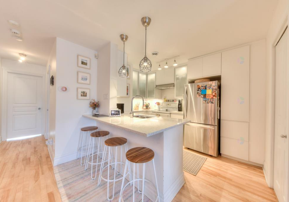 447, Rue Hélène-Baillargeon, Montréal (Le Plateau-Mont-Royal)