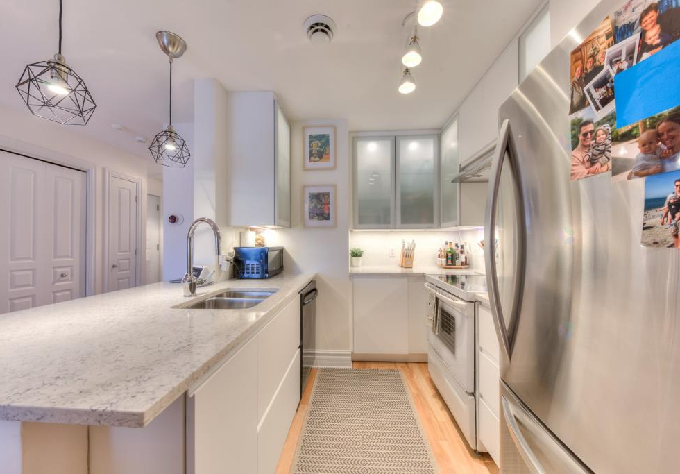 447, Rue Hélène-Baillargeon, Montréal (Le Plateau-Mont-Royal)