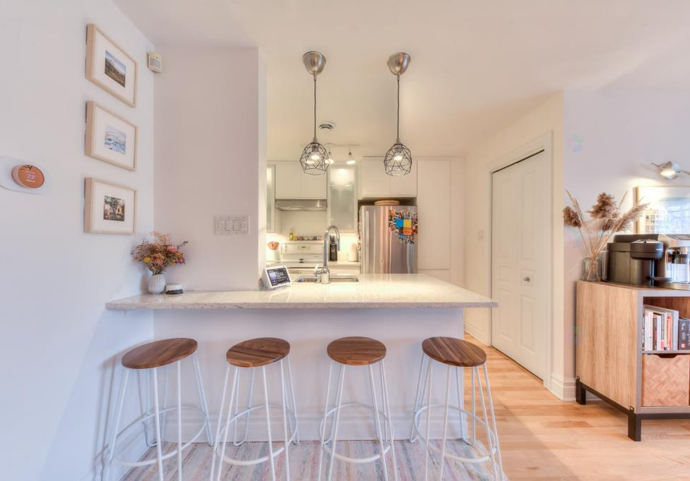 447, Rue Hélène-Baillargeon, Montréal (Le Plateau-Mont-Royal)