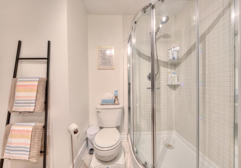 447, Rue Hélène-Baillargeon, Montréal (Le Plateau-Mont-Royal)