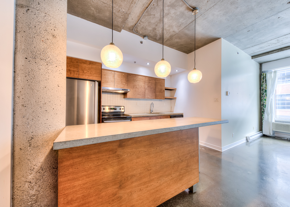 55, Rue Molière, app. 117, Montréal