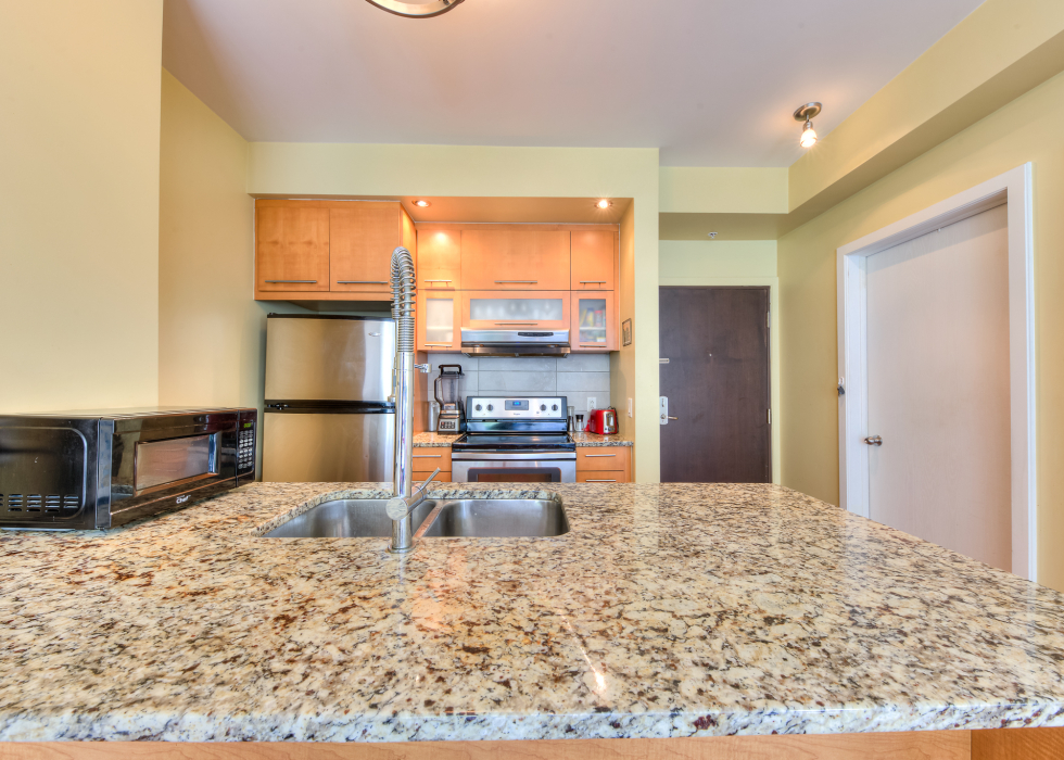 150, Rue Sherbrooke Est, app. 406, Montréal