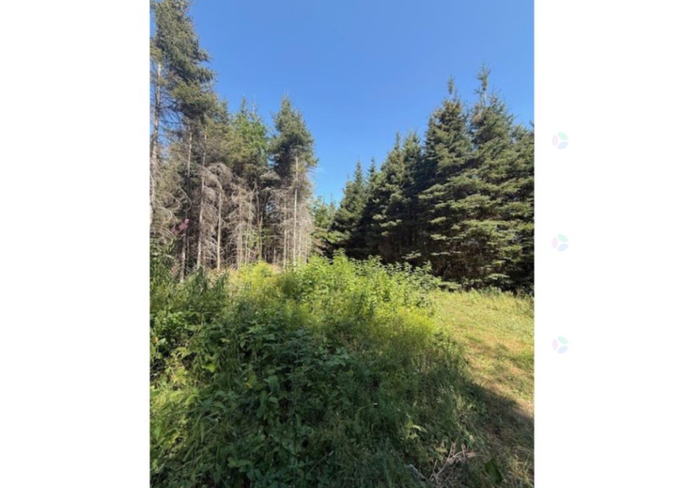 O, Route 132 Ouest, Grosses-Roches