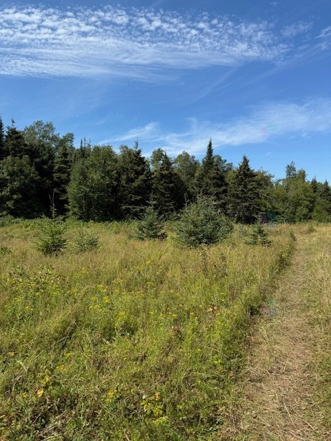 O, Route 132 Ouest, Grosses-Roches