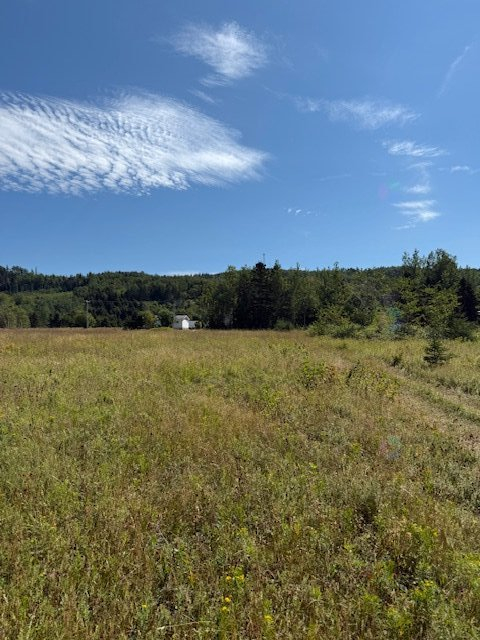 O, Route 132 Ouest, Grosses-Roches