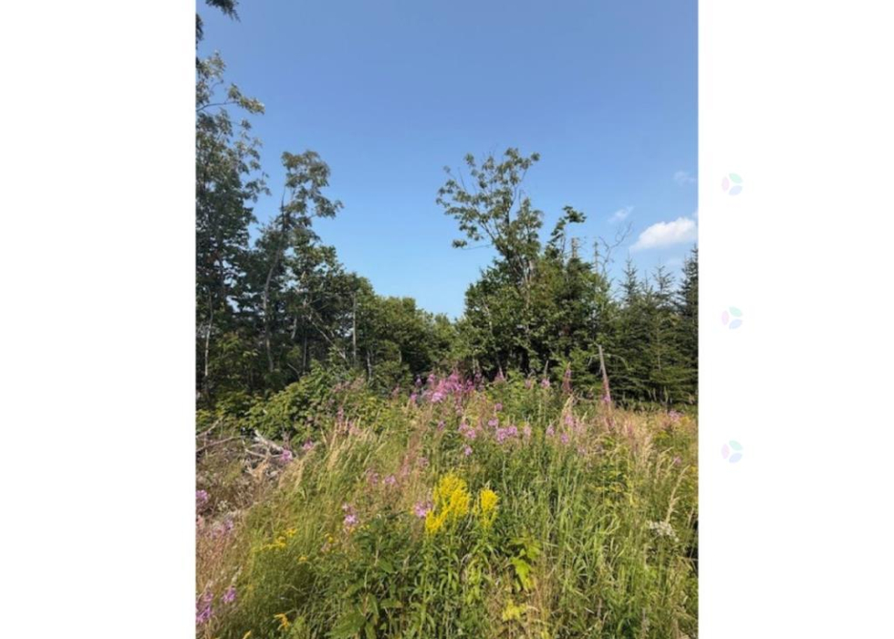 0Z, Route 132 Ouest, Grosses-Roches