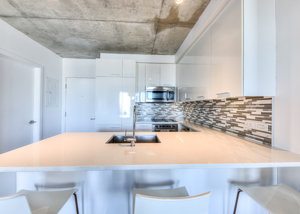 1000, Rue Ottawa, app. 2006, Montréal