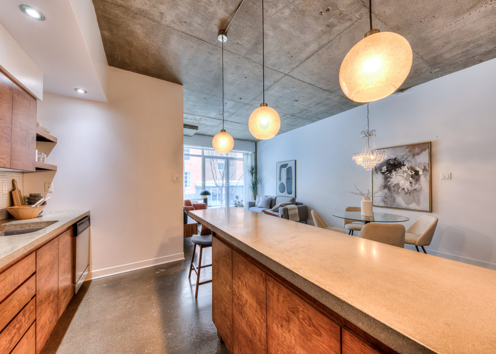 55, Rue Molière, app. 117, Montréal