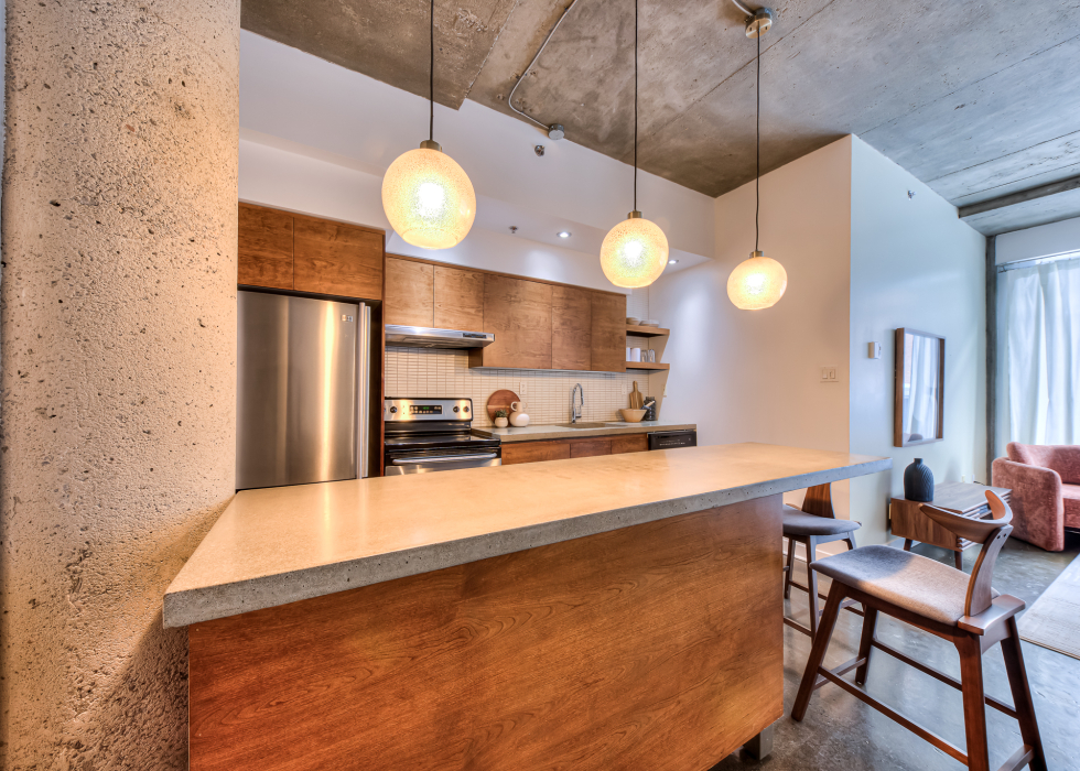 55, Rue Molière, app. 117, Montréal