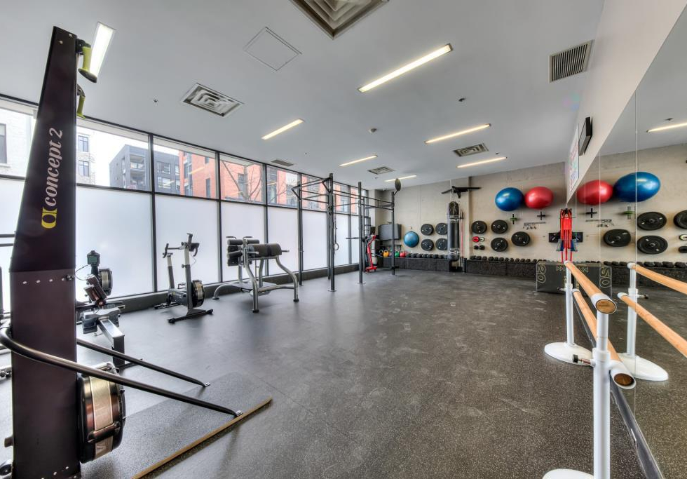 855, Rue Irène, app. 463, Montréal