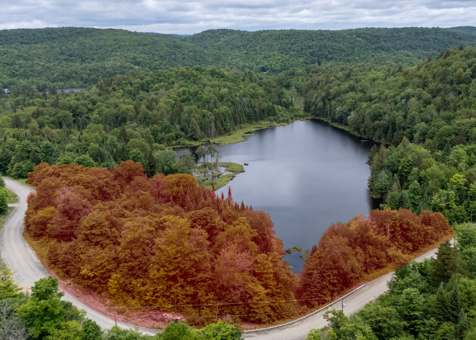 Terrain – Ch. du Lac-Thurson, Wentworth-Nord