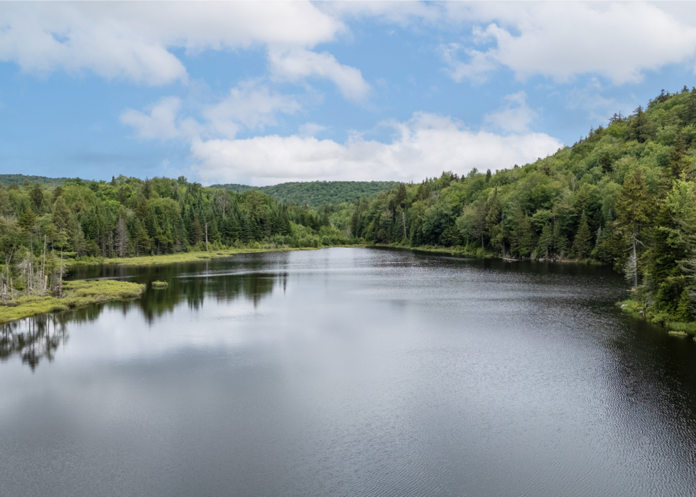 Terrain – Ch. du Lac-Thurson, Wentworth-Nord