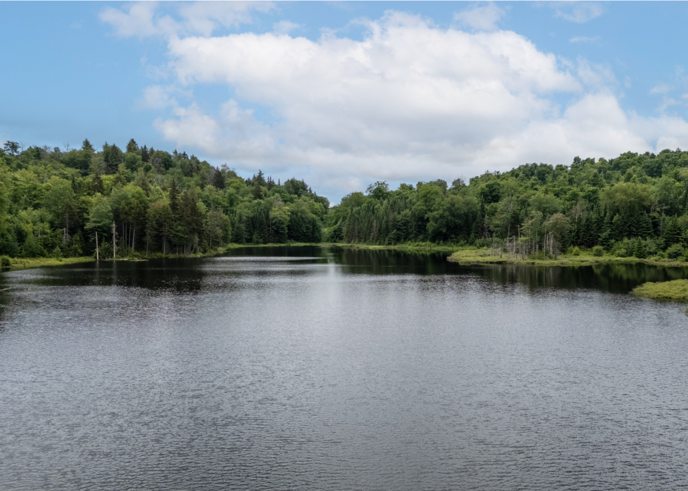 Terrain – Ch. du Lac-Thurson, Wentworth-Nord