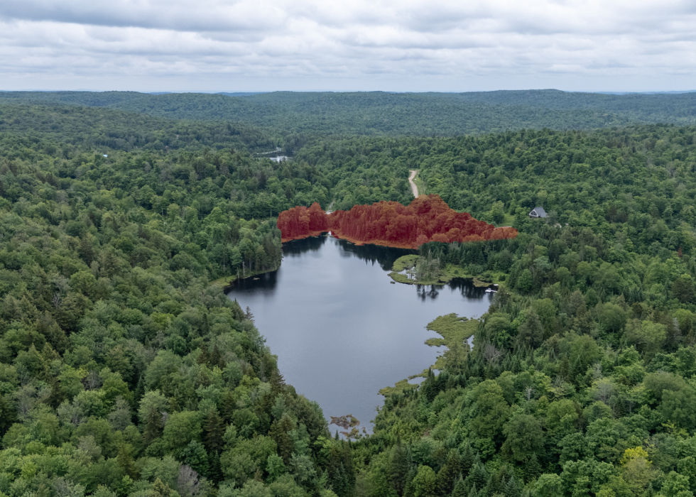 Terrain – Ch. du Lac-Thurson, Wentworth-Nord