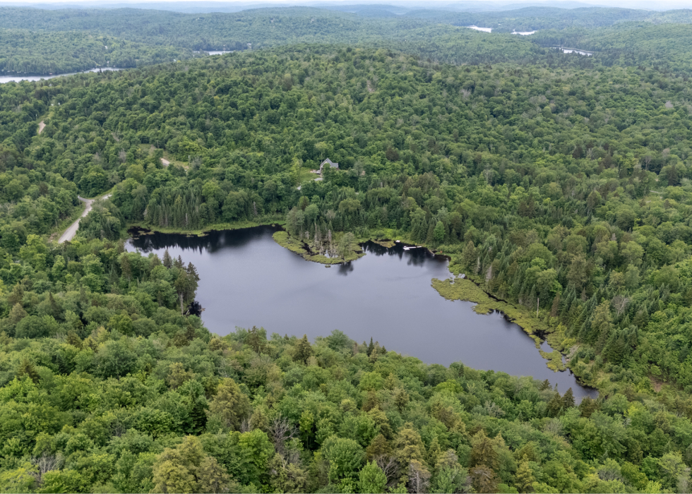 Terrain – Ch. du Lac-Thurson, Wentworth-Nord