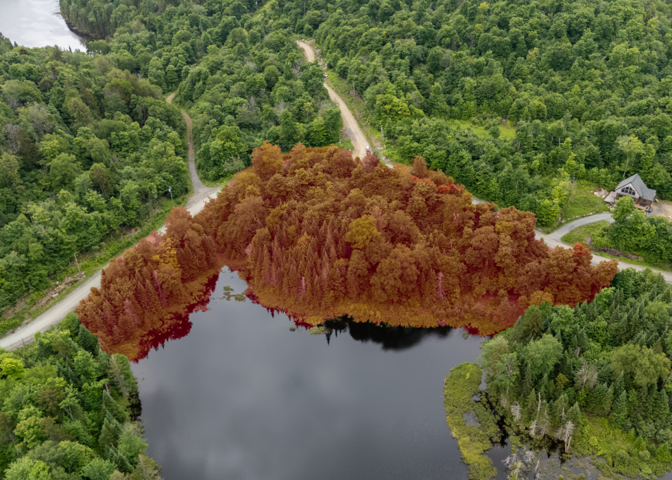 Terrain – Ch. du Lac-Thurson, Wentworth-Nord