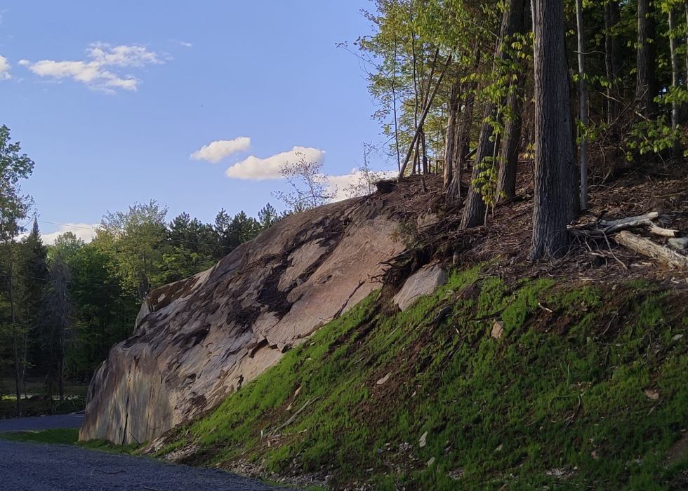 Terrain – Ch. du Renard, Saint-Sauveur