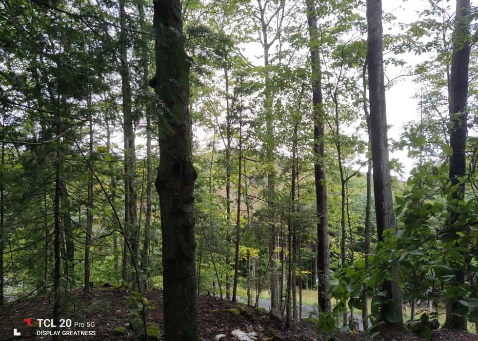 Terrain – Ch. du Renard, Saint-Sauveur