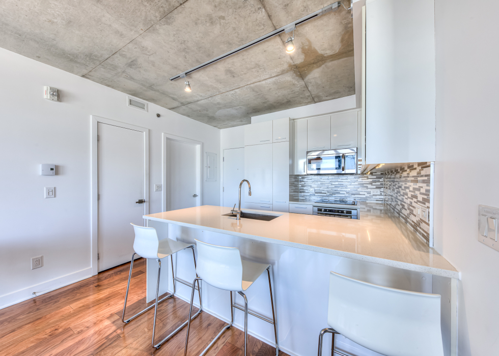 1000, Rue Ottawa, app. 2006, Montréal