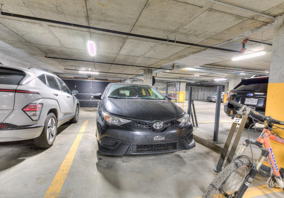 3600, Rue Rachel Est, app. 113, Montréal